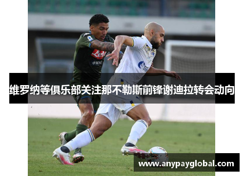 维罗纳等俱乐部关注那不勒斯前锋谢迪拉转会动向