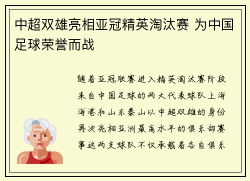 中超双雄亮相亚冠精英淘汰赛 为中国足球荣誉而战