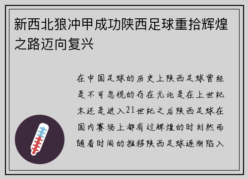 新西北狼冲甲成功陕西足球重拾辉煌之路迈向复兴